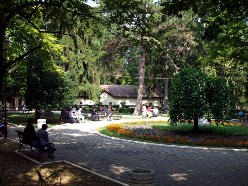 Sokobanjski centralni park